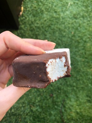 Saratoga Chocolate Co, Saratoga