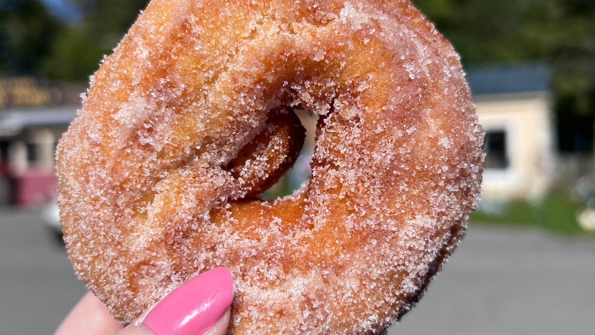 Fo’Castle Farms, Burnt Hills 518 Bites & Sights