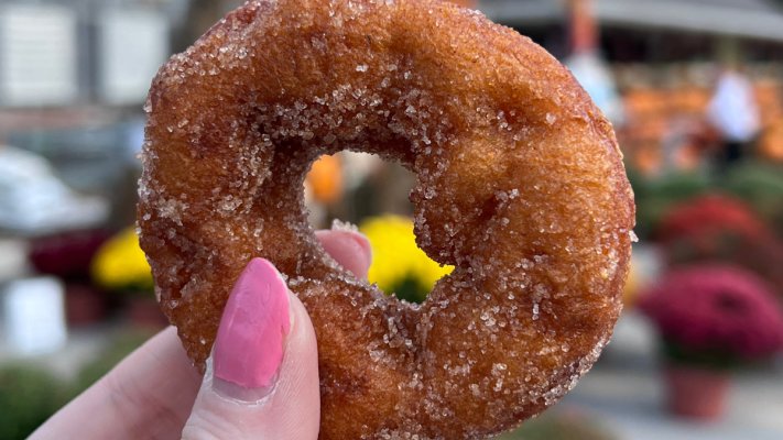 Gade Farm, Guilderland